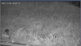 Thumbnail del capítulo