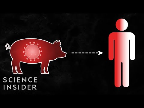 像冠狀病毒這樣的病毒是如何從動物跳到人身上的？ (How A Virus Like Coronavirus Jumps From Animals To People)