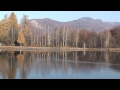 Wild Ducks On The Mogosa Lake Maramures Romania HD M2ts