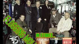 Flogging molly- the rare old times