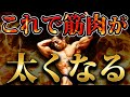 【圧倒的な体】しなやかな体を作り、結合組織を強化するには”ペプチド”を知れ!!