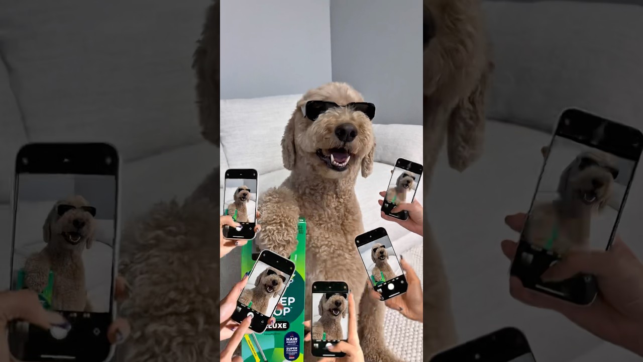#SwifferPartner #ad Oliver's first ever ad idea for the new ​⁠@myswiffer  Sweep + Mop Deluxe