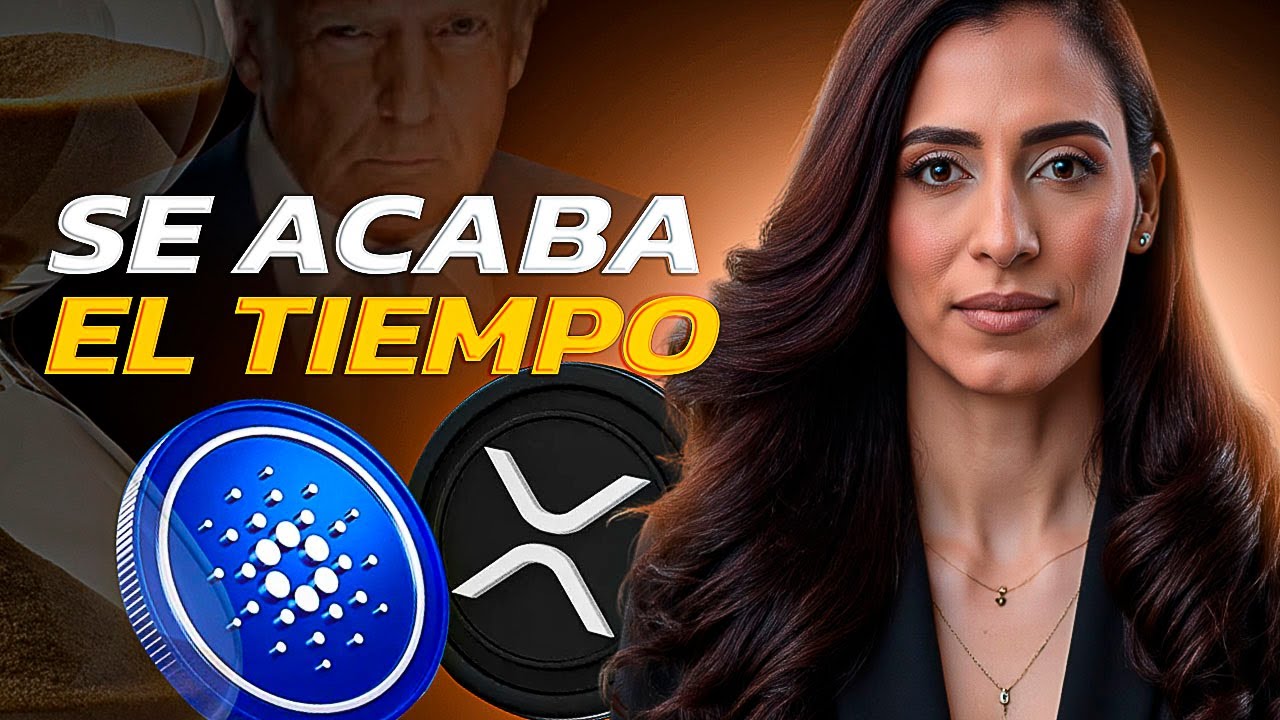 ¿En Qué Punto del Ciclo Cripto Estamos? 🚀