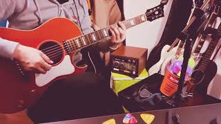 トリッパー　奥田民生カバー　弾き語り