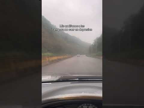 #gochos #gochosporelmundo #tachira #sancristobal #viral  #paratii #music #fypシ #musica #contenido