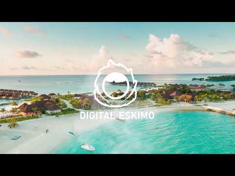 Digital Eskimo - Made To Be Free