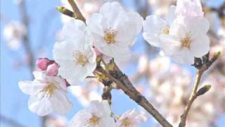 Bài hát 「スター誕生」 Again / Star Tanjou Again - Nghệ sĩ trình bày Momoe Yamaguichi