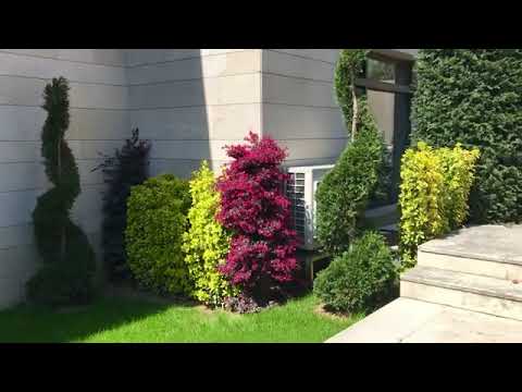 Bahçe Düzenleme Teknikleri