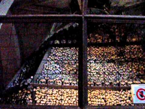 panorama of the bone church interior