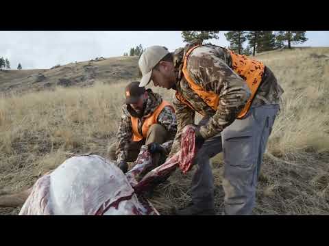 How To: Gutless Method