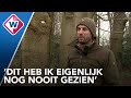 'Dit is wel een unicum', boswachter kijkt ogen uit bij boom die verkeersbord opslokt - OMROEP WEST
