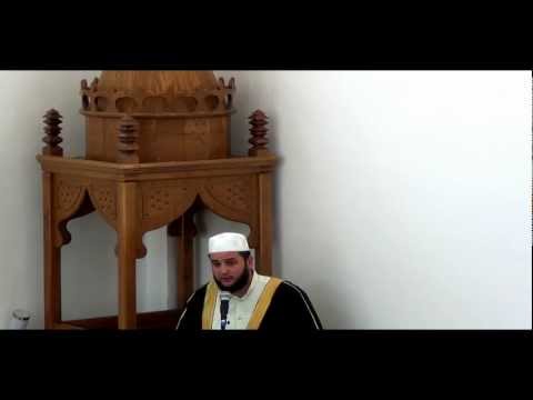 Prof.Sead Islamović - Srdžba