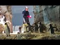 Detroit Zoo Part 3 05 23 2024
