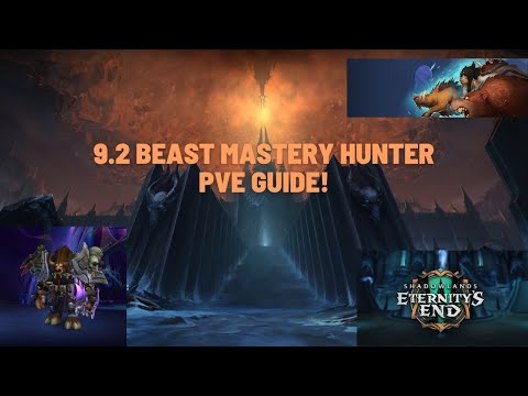 9.2 Beast Mastery Hunter PVE Guide! Get Your Tier Sets! WoW Shadowlands