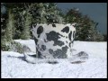 TeleTubbies I Snön Svenska