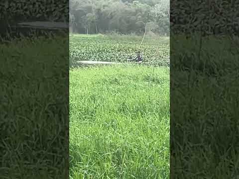 pescaria lago Itaipu Santa Helena Paraná