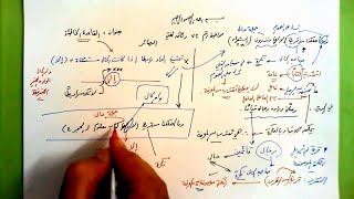 صورة 72 🔦 بصيرة القاعدة الخاطئة