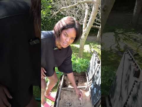 Turning kitchen scraps into gold! ♻️✨ I’m tossing the leftovers from my last cooking video into my