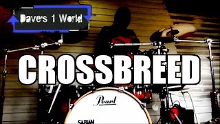 Crossbreed - Hollow - Drum Cover - David Ortega