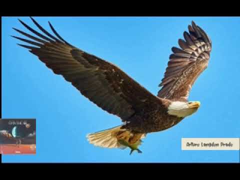 Methner, Zist & Eirik Naess - Up In The Air (₳rturo L₳ngdon Pr₳do Remix)