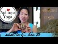 Aphinya Yoga Thailand For Visitors What Is How To Eat Custard Apple