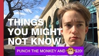 Why Was AllAdvantage.com Popular In Beverly Hills?