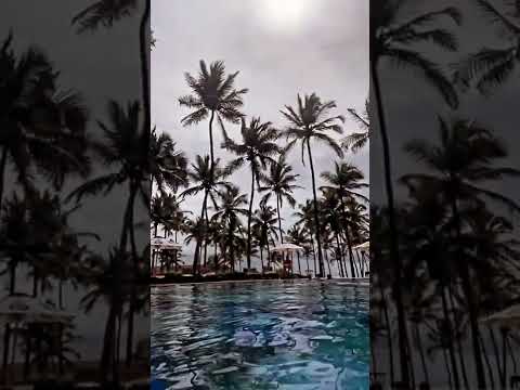 __Birthday By The Beach 🏖 🎂| shraddha arya