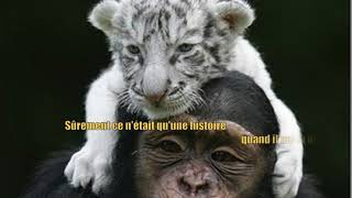 Ton Meilleur Ami [Only Friends] by Françoise Hardy (with lyrics)