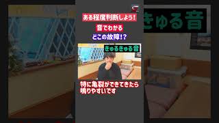 車の異音で故障箇所を知ろう！のシリーズ 今回はゴーゴー音 特に前輪や後輪付近から聞こえてきやすいです#中古車販売店 #車好き #車異音
