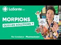 Les Morpions Vs Les Poux Quelles Sont Les Solutions