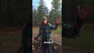 Landscaping Around the Chicken and Duck Coop #garden