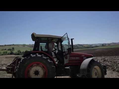 casa olivi-making of