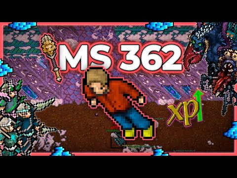 MS 362 Hunt Solo Winter Court 2.6kk/h Raw - Tibia Hunt [13.16] #tibia #tibiahunt