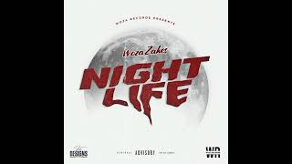 Download lagu Woza Zakes - Night Life mp3