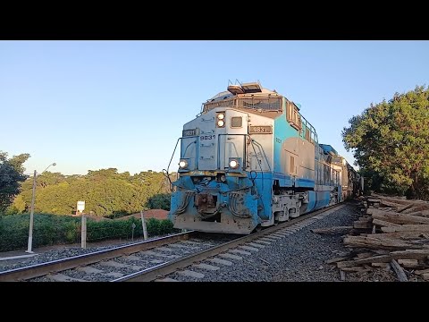 Trenzão gigante em Santa Ernestina sp #train #railfan #trem 