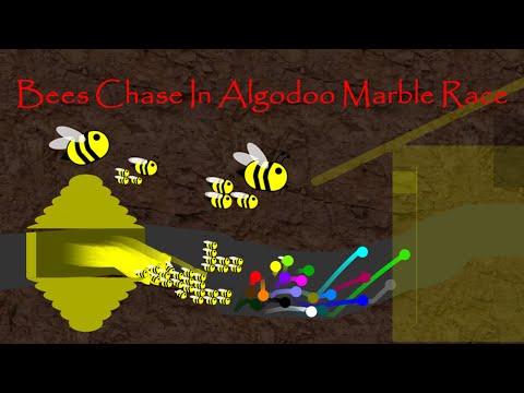 marble race : Bees Chase In algodoo marble race - Survival Marble Race in Algodoo