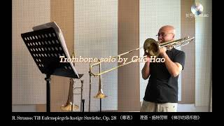 R. Strauss: Till Eulenspiegels lustige Streiche, Op. 28 / Excerpt