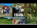 Ultimate Guide To Hiking Eburu Forest|| 4k Virtual Oldoinyo Eburu Forest Gilgil