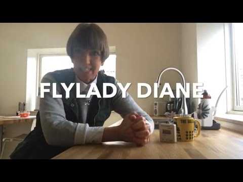 Flylady Diane - Join our 40 Day Declutter Challenge (Days 16-23) Video