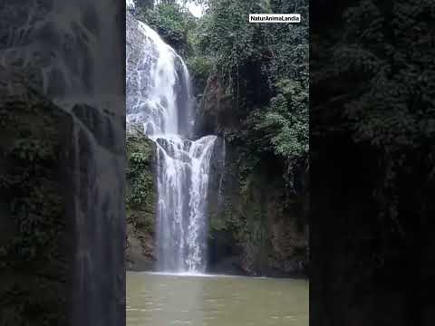 Cascada Salto De La India 🏞️❤️ El Playón-Santander🇨🇴📸 #natural #naturaleza #relaxing #viral #viral