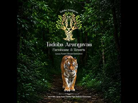 Tadoba Aranyavas project walkthrough