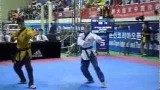 preview picture of video 'Chuncheon Korea Open 2013 Poomsae Pair Finals 1'