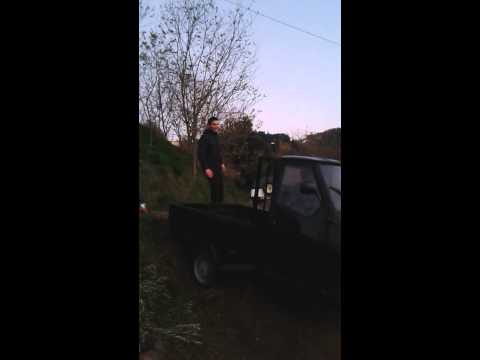 san marco argentano mastro con ape