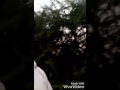 Mare Akash PR Tiger Padru
