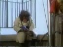 JAWS New Trailer