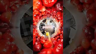 Download lagu Is the viral popping cranberry really good 🤔 mp3