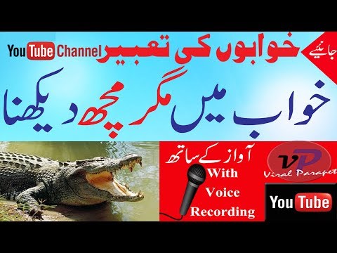 Magarmach Vse Video Po Tegu Na Igrovoetv Online