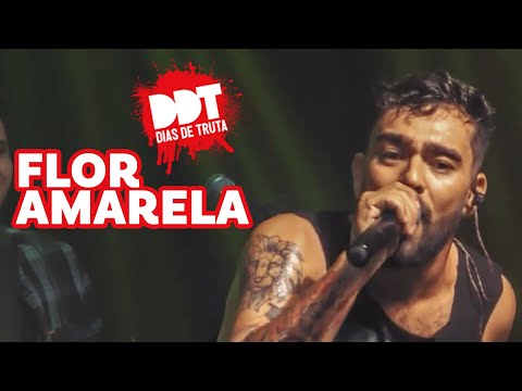 Dias de Truta - Flor Amarela DVD Ao Vivo em BH #16