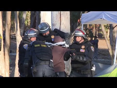 Police clear out pro-Palestinian encampment at UC San Diego; dozens arrested