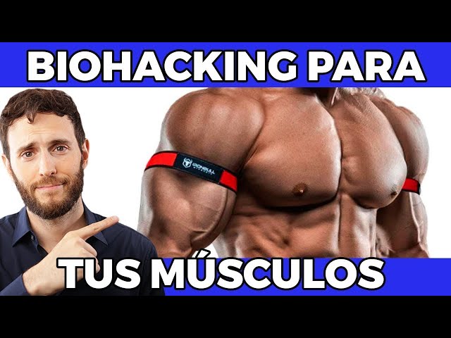Vídeo relacionado con BFR Bands Sport Venenstauer & Bíceps Band Pro Set - Bandas oclusivas para Entrenamiento Muscular de Brazos o piernas - Ideal para Culturismo - más Libro electrónico (Idioma español no garantizado)